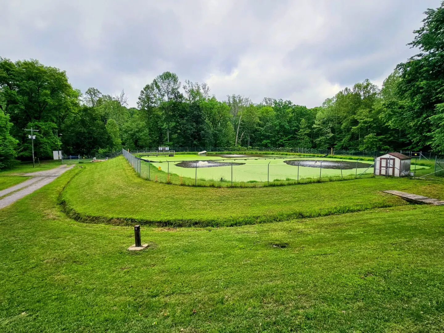 A grassy area with trees and a fire hydrant.